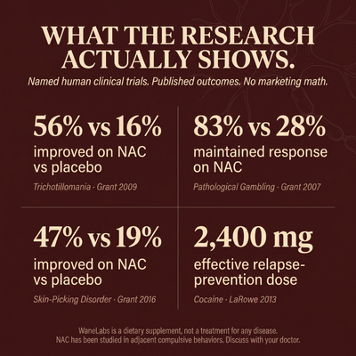 WaneLabs NAC + NAD+ | 600 mg Softgels for Focus & Self-Control