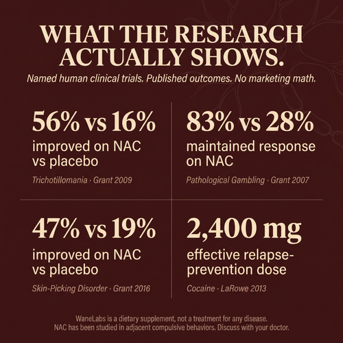 WaneLabs NAC + NAD+ | 600 mg Softgels for Focus & Self-Control