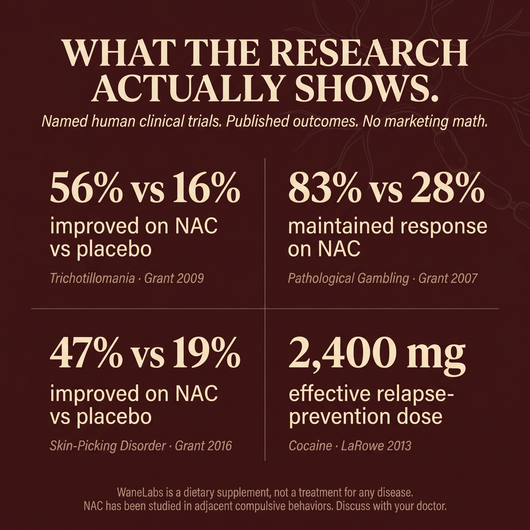 WaneLabs NAC + NAD+ | 600 mg Softgels for Focus & Self-Control