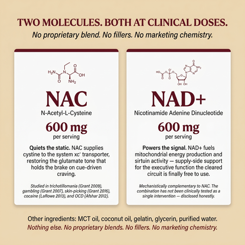 WaneLabs NAC + NAD+ | 600 mg Softgels for Focus & Self-Control