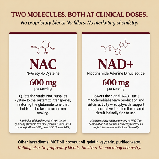 WaneLabs NAC + NAD+ | 600 mg Softgels for Focus & Self-Control